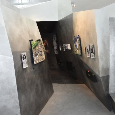 Felsen Aus Massivholzplatten